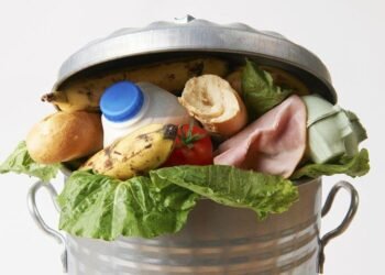 food waste