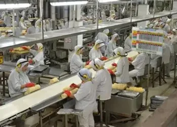 foto buat artikel bindo