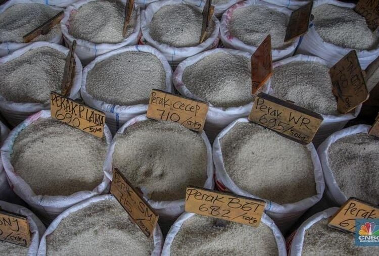 Foto: Suasana aktivitas penjualan beras di Pasar Induk Beras Cipinang (PIBC), Jakarta, Jumat (8/8/2025). Indeks kenaikan harga-harga atau inflasi berpotensi terkerek naik pada Agustus 2025, salah satu penyebabnya adalah terus tingginya harga beras. (CNBC Indonesia/Faisal Rahman)