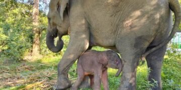 medium IMG 20251205 WA 0076 19259569d4