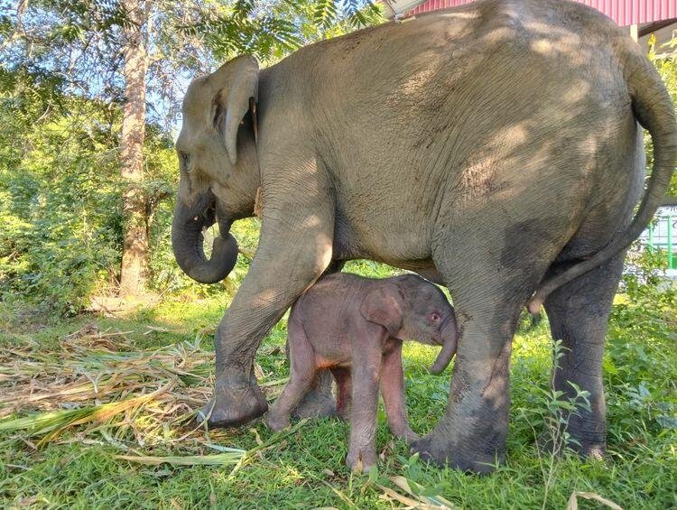 Siaran Berita Press Release 77 medium IMG 20251205 WA 0076 19259569d4