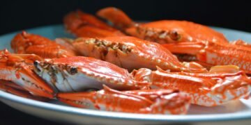 pexels jaradahfish 3640451