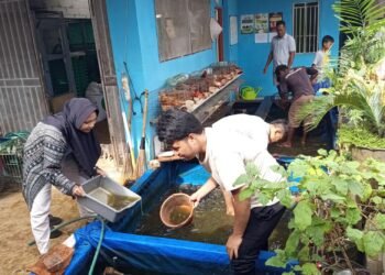 Rumah Maggot Duren Seribu, Contoh Nyata Pengelolaan Sampah Organik Berbasis Komunitas 48 Budidaya ikan lele dengan pakan maggot sebagai bagian dari pengelolaan sampah organik berbasis lingkungan di Duren Seribu, Depok.