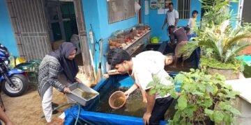 Budidaya ikan lele dengan pakan maggot sebagai bagian dari pengelolaan sampah organik berbasis lingkungan di Duren Seribu, Depok.