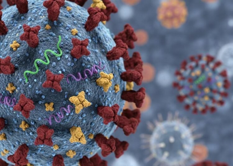 Kemenkes Pastikan Influenza A(H3N2) Subclade K Tidak Lebih Parah, Situasi Nasional Terkendali