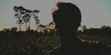 i should sleep Lyrics