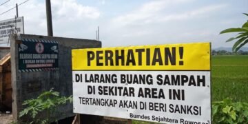 20d2b2a8 3b73 40a4 b965 d682a61e1085