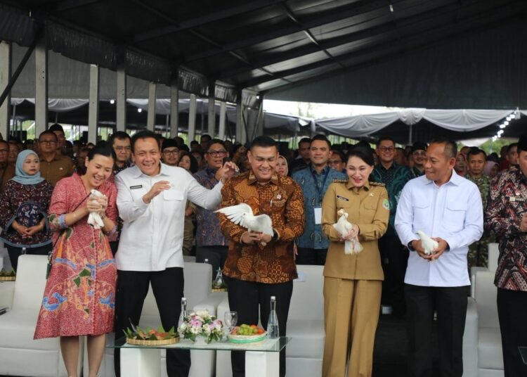 54319b76 c1a6 4f2c af0b a4773081eb5f