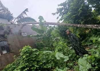 660ac198 7817 45db 9f60 00b3ff4fa969