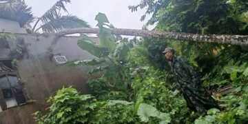 660ac198 7817 45db 9f60 00b3ff4fa969