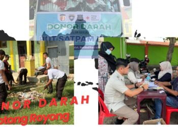 DONOR DARAH