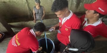 Foto Biogas