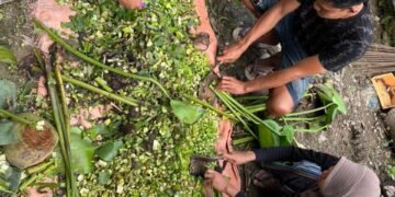 IMG 20260124 WA0019