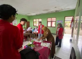 Foto sosialisasi kepada mitra guru SDN Mojokembang