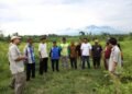 Jalan Kolaborasi Lintas Instansi Terbuka dari Reforma Agraria, Jadi Jawaban Penyelesaian Konflik di Desa Soso