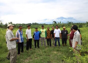 Jalan Kolaborasi Lintas Instansi Terbuka dari Reforma Agraria, Jadi Jawaban Penyelesaian Konflik di Desa Soso 56 Jalan Kolaborasi Lintas Instansi Terbuka dari Reforma Agraria, Jadi Jawaban Penyelesaian Konflik di Desa Soso