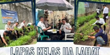 panen raya kangkung lp lahat
