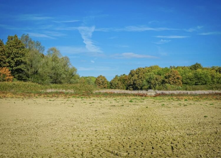 Screenshot 2026 01 02 at 10.50.03