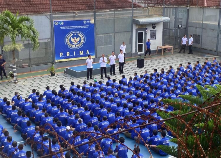 WhatsApp Image 2025 12 31 at 16.53.07