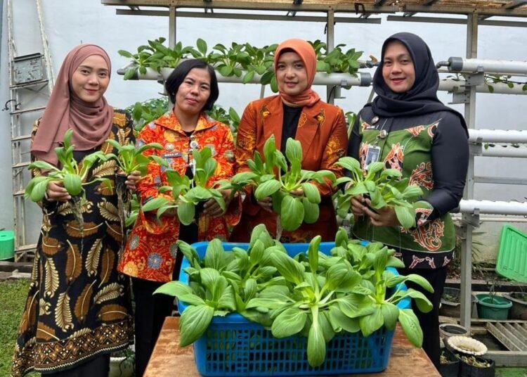 LPP Bengkulu Panen Pakcoy, Wujud Pembinaan Kemandirian Warga Binaan 46 WhatsApp Image 2026 01 03 at 10.06.34