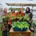 LPP Bengkulu Panen Pakcoy, Wujud Pembinaan Kemandirian Warga Binaan 58 WhatsApp Image 2026 01 03 at 10.06.34
