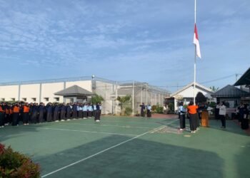 WhatsApp Image 2026 01 05 at 09.57.45 1