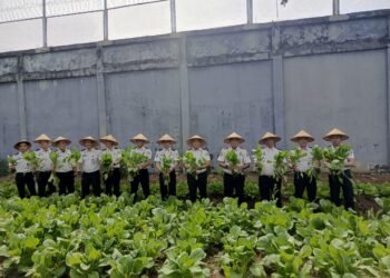 WhatsApp Image 2026 01 05 at 10.33.00 2