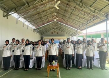 WhatsApp Image 2026 01 05 at 15.13.41