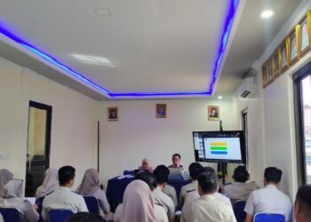 WhatsApp Image 2026 01 06 at 16.34.50 1