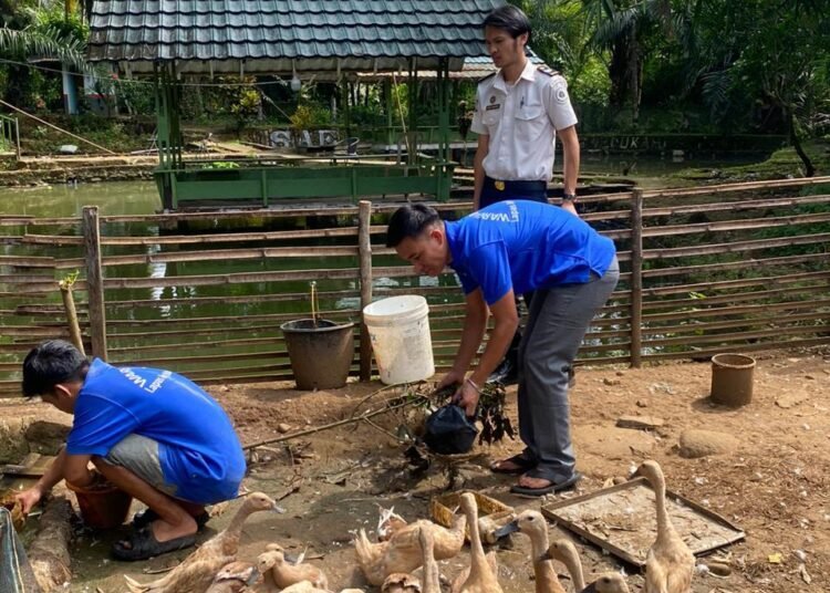 Dukung Program Ketahanan Pangan, Lapas Arga Makmur Laksanakan Perawatan Peternakan Itik Petelur 46 WhatsApp Image 2026 01 07 at 11.24.22 3