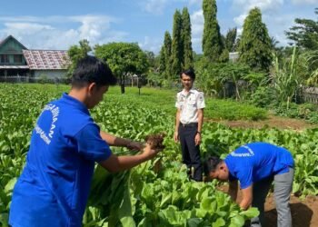 WhatsApp Image 2026 01 07 at 11.24.26 3