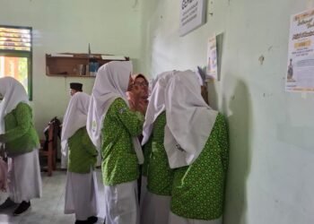 WhatsApp Image 2026 01 07 at 13.43.43