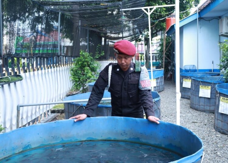 WhatsApp Image 2026 01 10 at 10.51.42