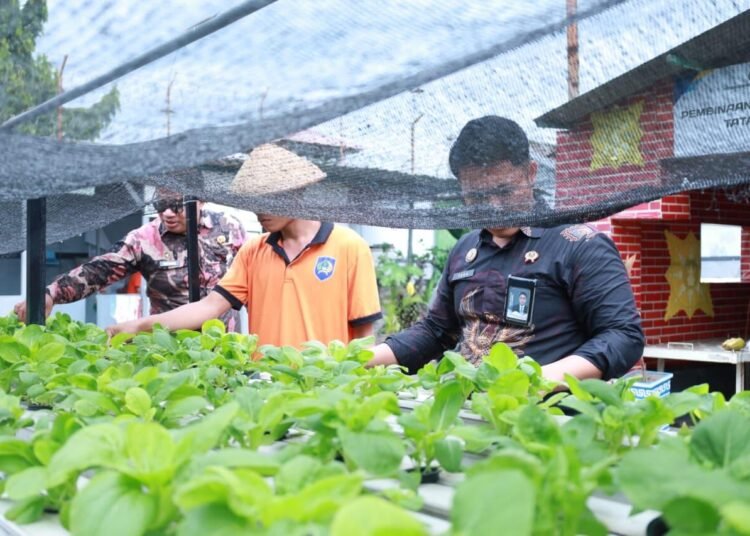 WhatsApp Image 2026 01 10 at 11.48.32