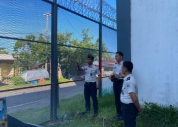 WhatsApp Image 2026 01 13 at 08.46.13