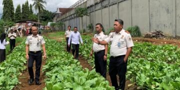 WhatsApp Image 2026 01 14 at 14.33.35 2