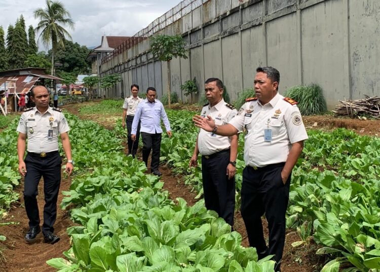 Lapas Arga Makmur Matangkan Persiapan Panen Raya, Wujudkan Pembinaan Kemandirian WBP 46 WhatsApp Image 2026 01 14 at 14.33.35 2