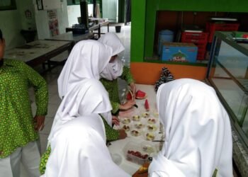 WhatsApp Image 2026 01 15 at 07.55.03