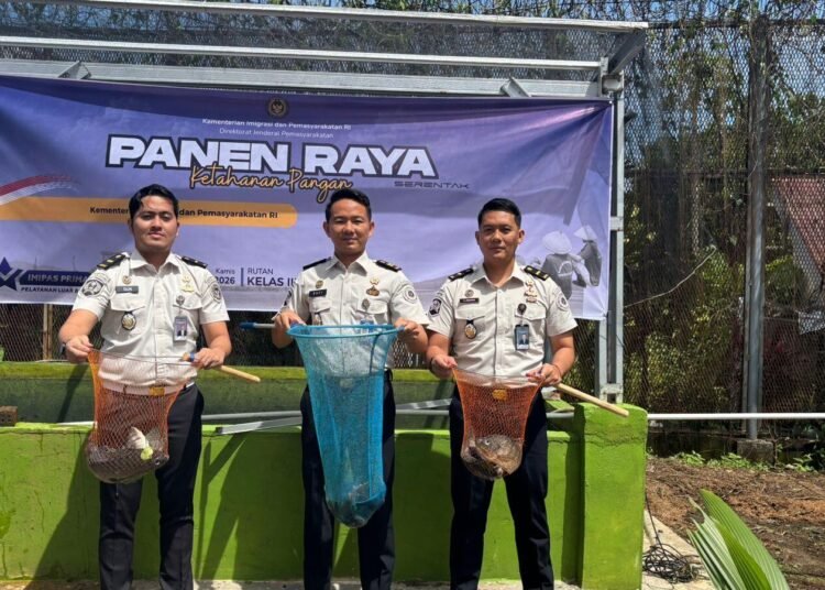 WhatsApp Image 2026 01 15 at 11.06.11