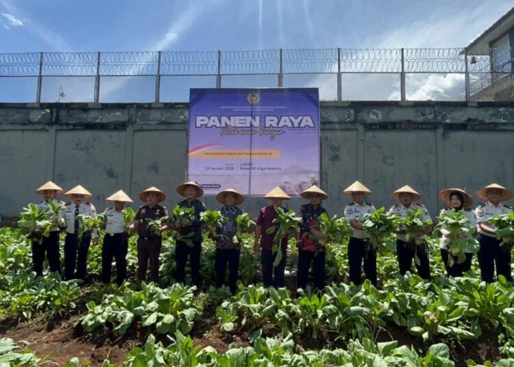 WhatsApp Image 2026 01 15 at 13.32.50