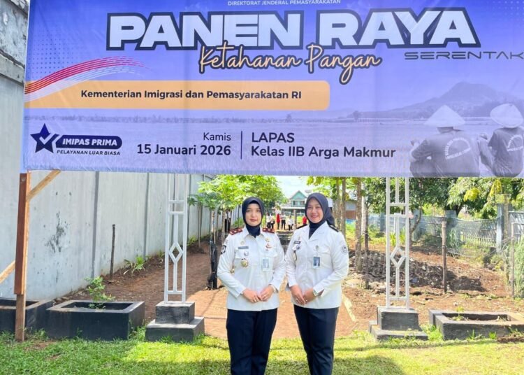 WhatsApp Image 2026 01 15 at 15.04.00