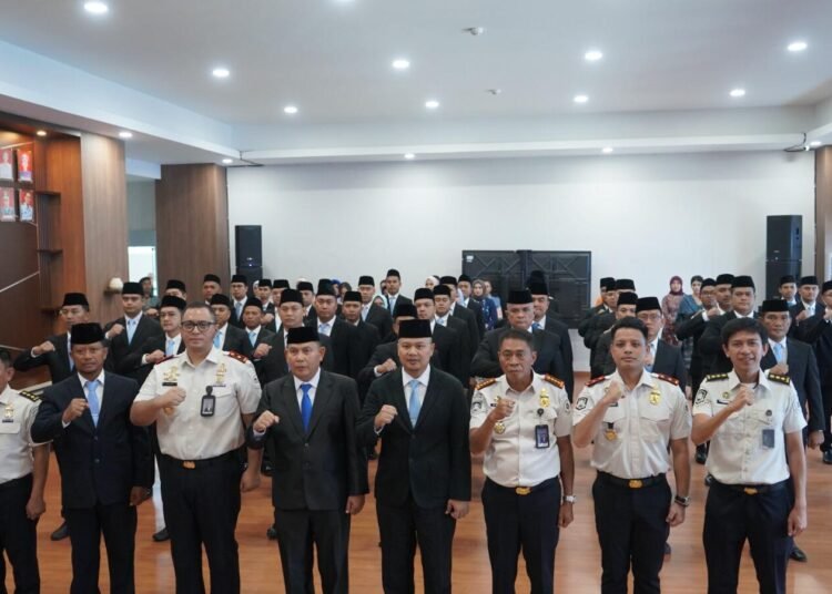 WhatsApp Image 2026 01 15 at 16.45.05