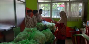 WhatsApp Image 2026 01 15 at 20.32.16