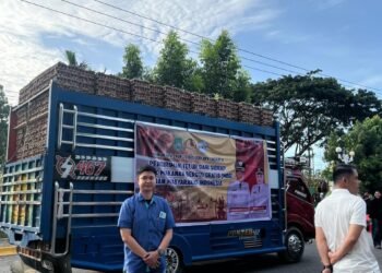 WhatsApp Image 2026 01 16 at 19.04.34