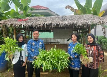 WhatsApp Image 2026 01 17 at 09.52.46