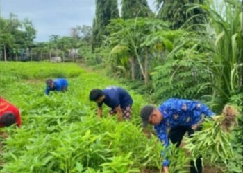 WhatsApp Image 2026 01 17 at 20.30.40 1