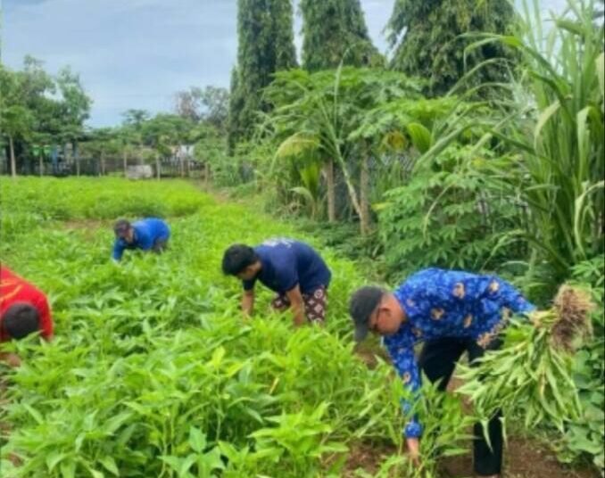 Dukung Program Ketahanan Pangan Nasional, Lapas Arga Makmur Panen Ratusan Kilogram Sawi dan Kangkung 46 WhatsApp Image 2026 01 17 at 20.30.40 1