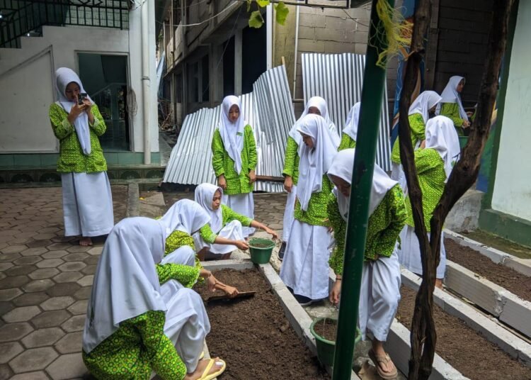 WhatsApp Image 2026 01 18 at 20.48.52