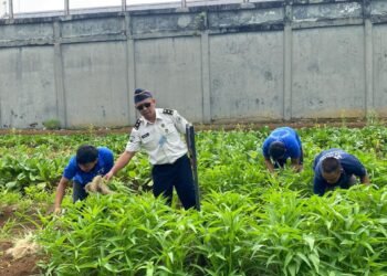 WhatsApp Image 2026 01 19 at 11.48.36