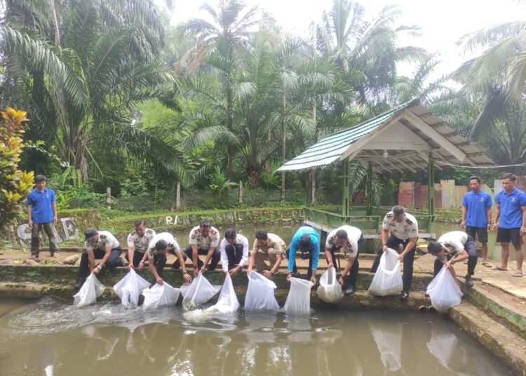 WhatsApp Image 2026 01 19 at 13.22.30